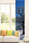 Preview: , Schiebevorhang, Schiebegardine, modern, 60 cm breit, 2,65 m hoch, 3 m hoch
